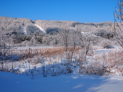 [A zoomed out view of the prior image showing fields in the foreground with marsh-like reeds amid the snow.]